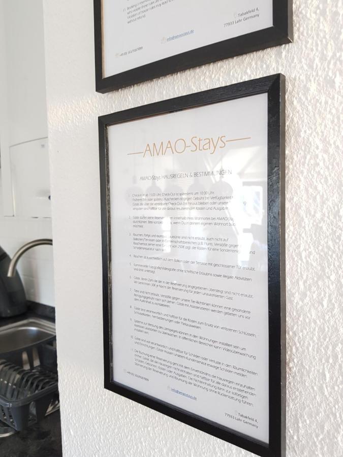 Amao-Green I 90Qm I Penthouse Maisonette Mit Rooftop I City Center I King-Size Betten Lahr  Buitenkant foto