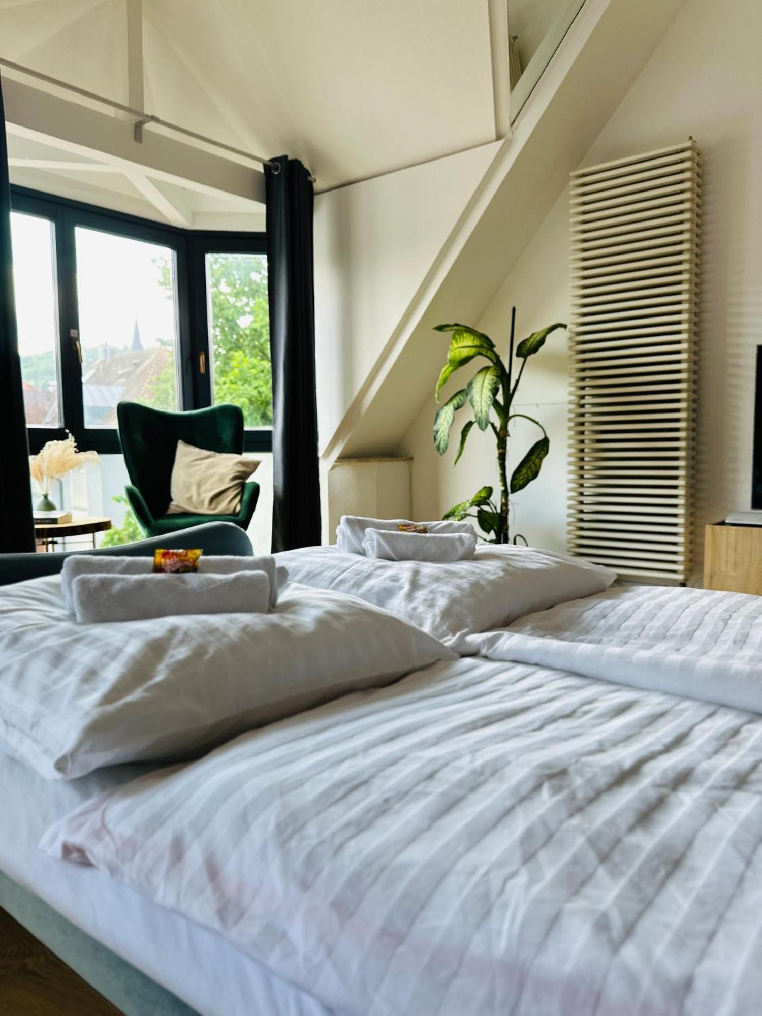 Amao-Green I 90Qm I Penthouse Maisonette Mit Rooftop I City Center I King-Size Betten Lahr  Buitenkant foto