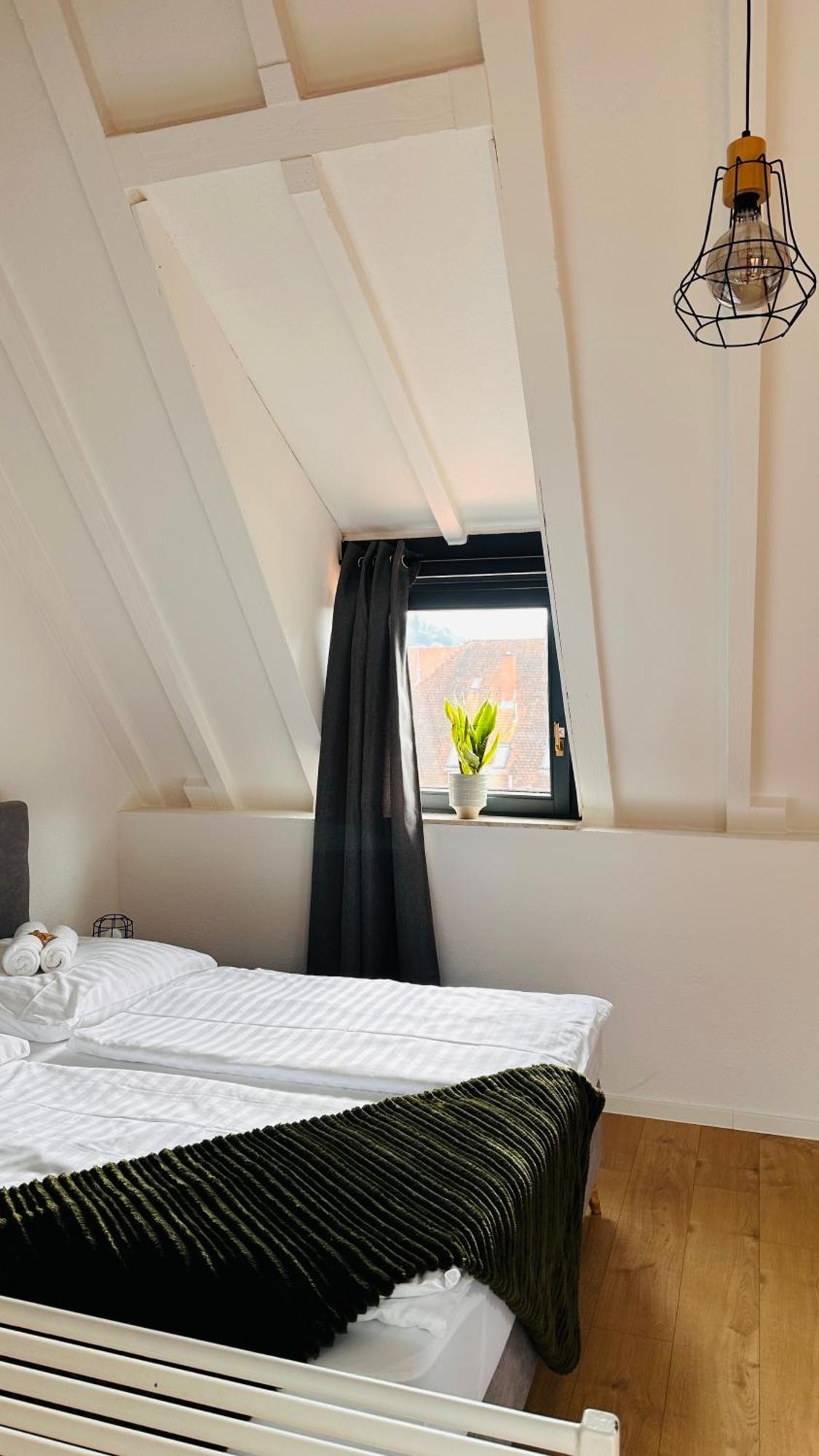 Amao-Green I 90Qm I Penthouse Maisonette Mit Rooftop I City Center I King-Size Betten Lahr  Buitenkant foto